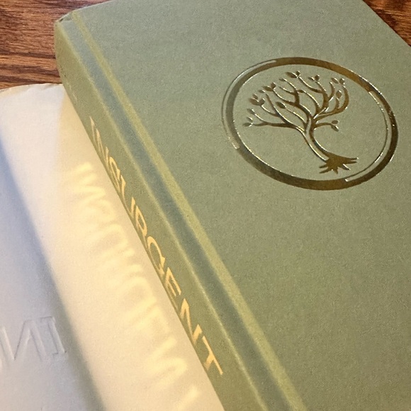 Insurgent by Veronica Roth - Picture 3 of 5